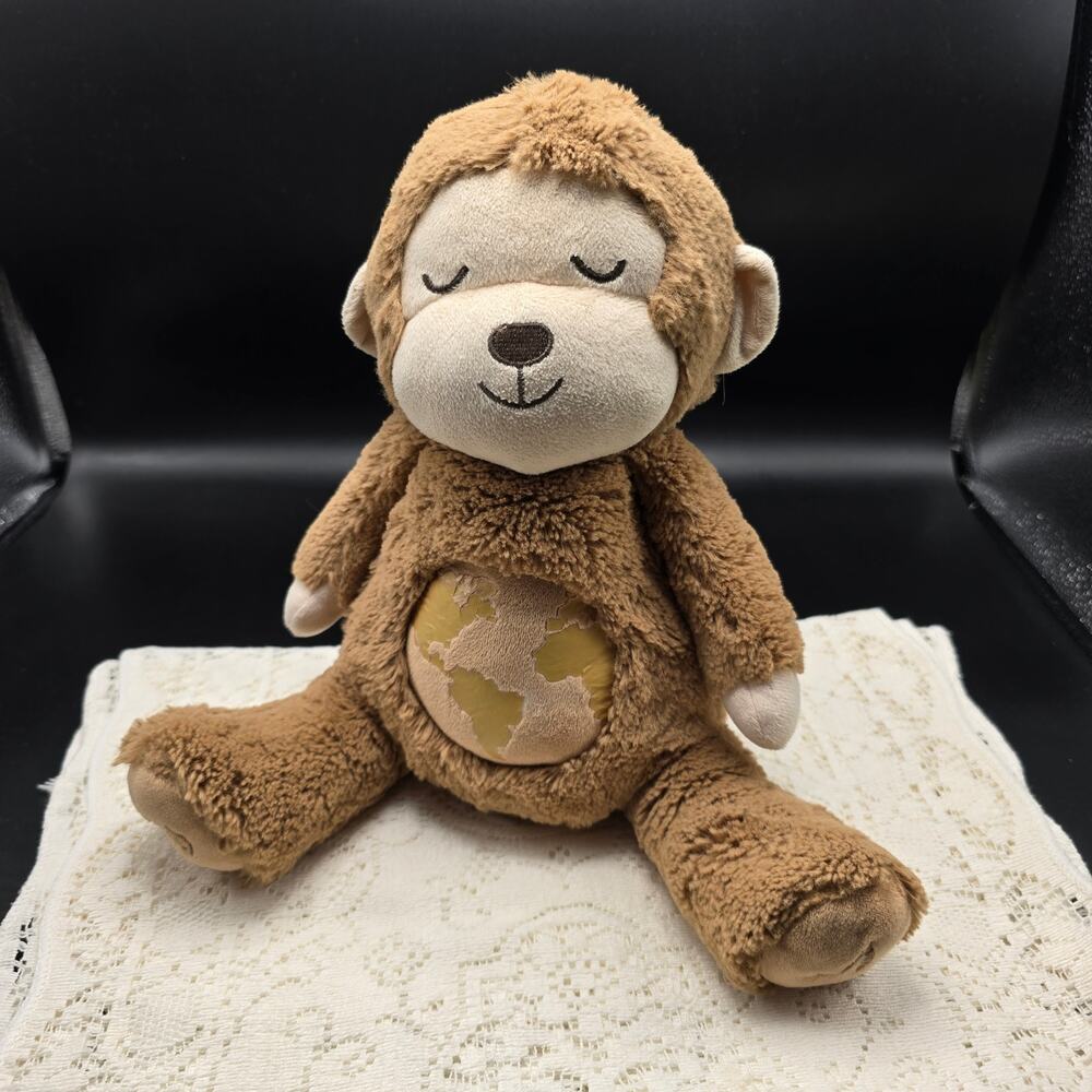 FAO Schwartz Money Sound Soother Plays Nature Sounds Rare workes